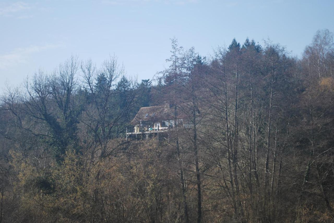 Veyrinas 43 Bed and Breakfast Saint-Yrieix-la-Perche Buitenkant foto