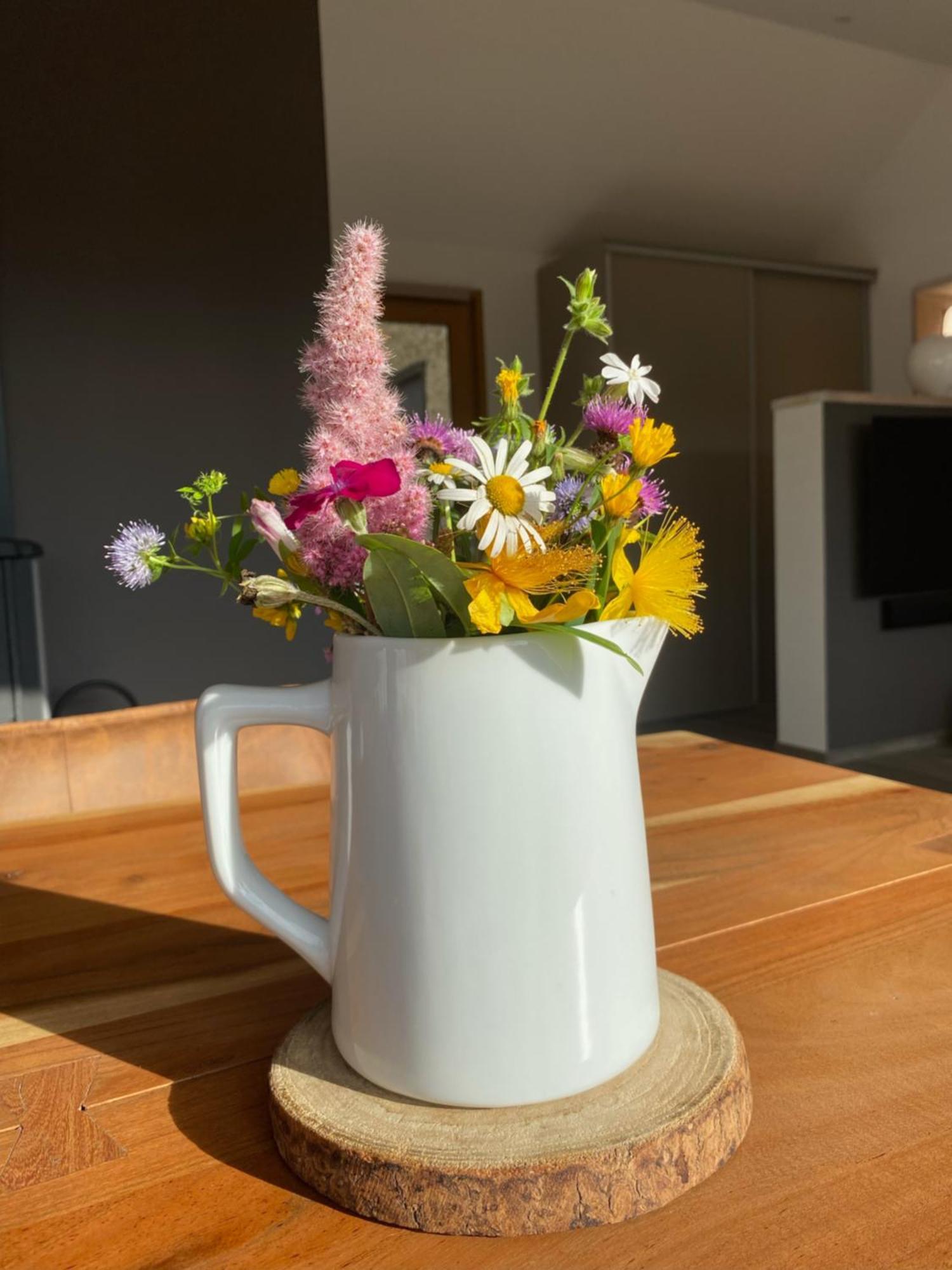 Veyrinas 43 Bed and Breakfast Saint-Yrieix-la-Perche Buitenkant foto